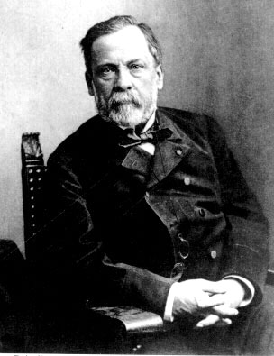 動能教育名人家教