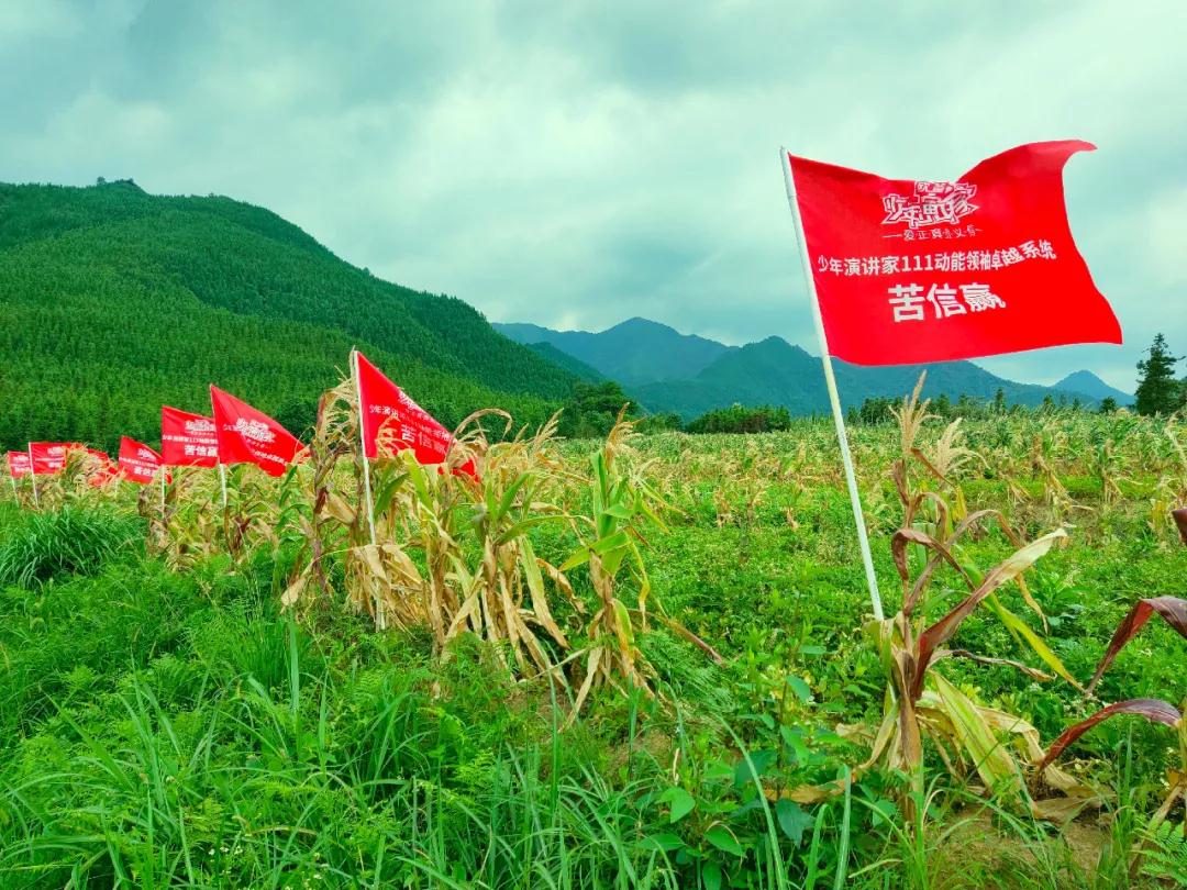 歐爸動(dòng)能·少年演講家苦信贏